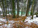 Winterparcour Bild 5
