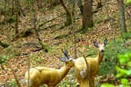 Sommerparcour Bild 20