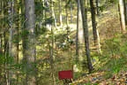 Sommerparcours 2017 Bild 37