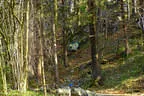 Sommerparcours 2017 Bild 1