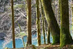 Sommerparcours 2017 Bild 22