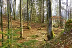 Sommerparcours 2017 Bild 24