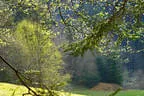 Sommerparcours 2017 Bild 11