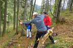 Oster Turnier 2017 Bild 29