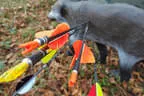 Herbst-/Winterparcours 2017/18 Bild 51