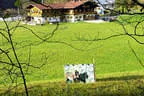 Herbst-/Winterparcours 2017/18 Bild 11
