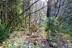 Herbst-/Winterparcours 2017/18 Bild 25