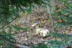 Herbst-/Winterparcours 2017/18 Bild 26