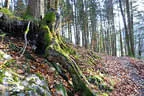Herbst-/Winterparcours 2017/18 Bild 27