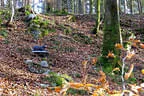 Herbst-/Winterparcours 2017/18 Bild 30