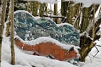 Herbst-/Winterparcours 2017/18 Bild 57