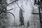 Herbst-/Winterparcours 2017/18
