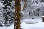 Herbst-/Winterparcours 2017/18 Bild 63