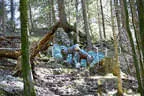 Sommer-/Herbstparcours 2018 Bild 46