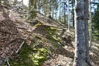 Sommer-/Herbstparcours 2018 Bild 36