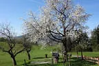 Vereinsausflug Mabow Saalfelden Bild 22
