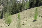 Vereinsausflug Mabow Saalfelden Bild 59