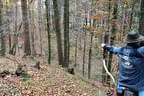 Herbstparcours 2018 Bild 34