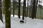 Winter 2018/19 Bild 18
