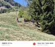 Ausflug Iseltal Bild 20