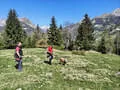 Ausflug Iseltal Bild 36