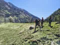 Ausflug Iseltal Bild 38