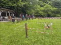 Gaudischiessen Bild 18