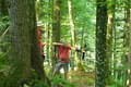 5er 2026 Bild 24