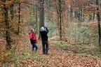 Parcourumbau Herbst 2014 Bild 16