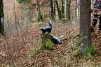 Parcourumbau Herbst 2014 Bild 41
