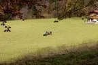 Parcourumbau Herbst 2014 Bild 68