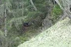 Turnierbesuch Iseltal Bild 28