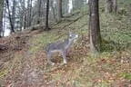 Härtetest Kufstein Bild 22