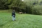 Clubmeisterschaft Bild 2