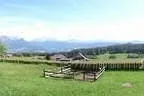 Vereinsausflug Südtirol Bild 4