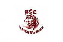 Turnier-der-BSU-St.-Veit